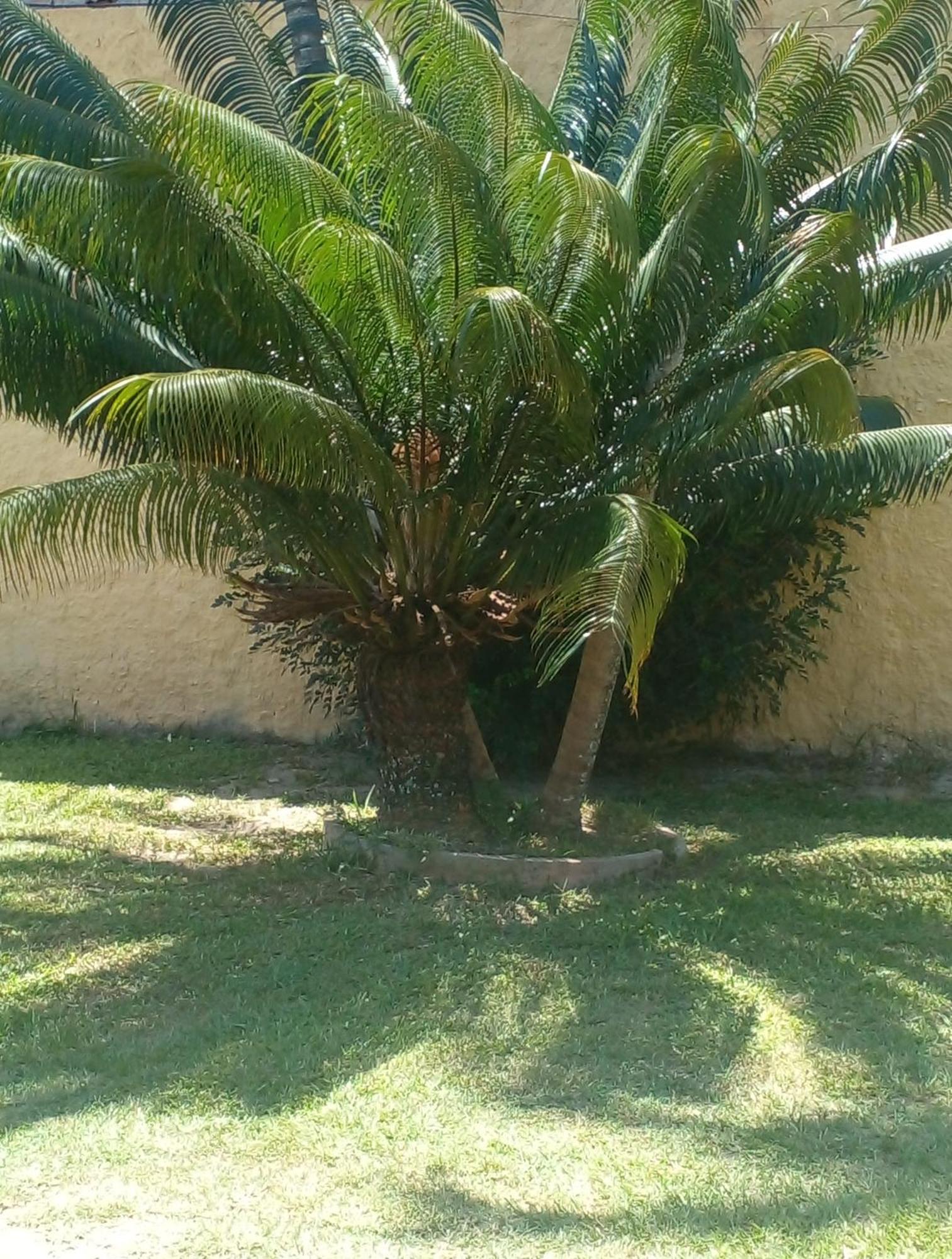 Ap Buzios Appartement Buitenkant foto